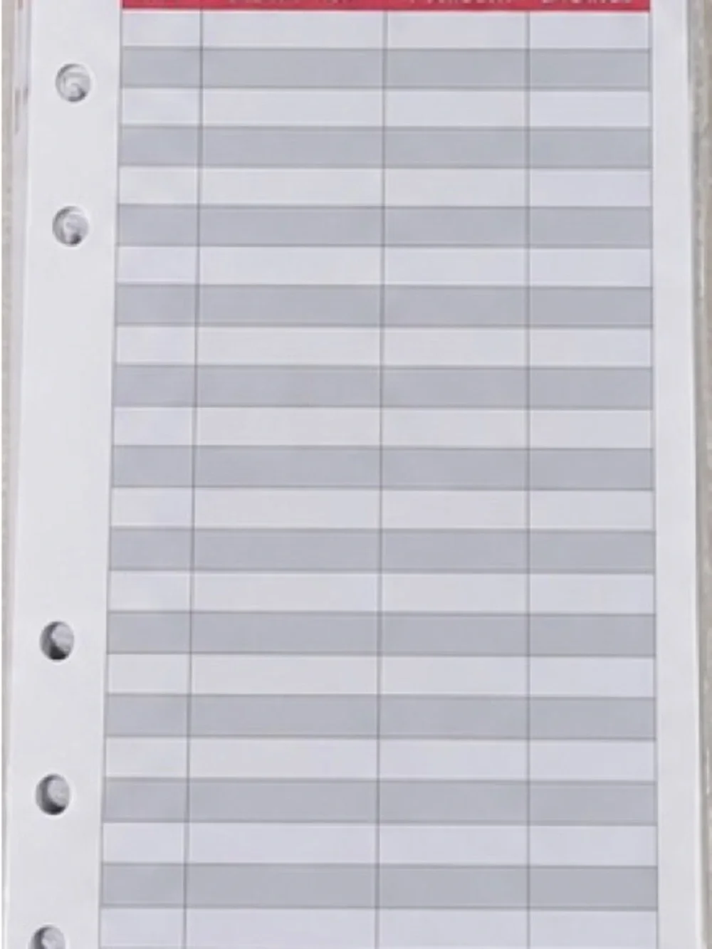 Leopard Print A6 Cash Budget Binder Envelope Organizer Set
